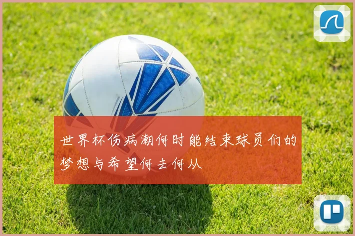 世界杯伤病潮何时能结束球员们的梦想与希望何去何从